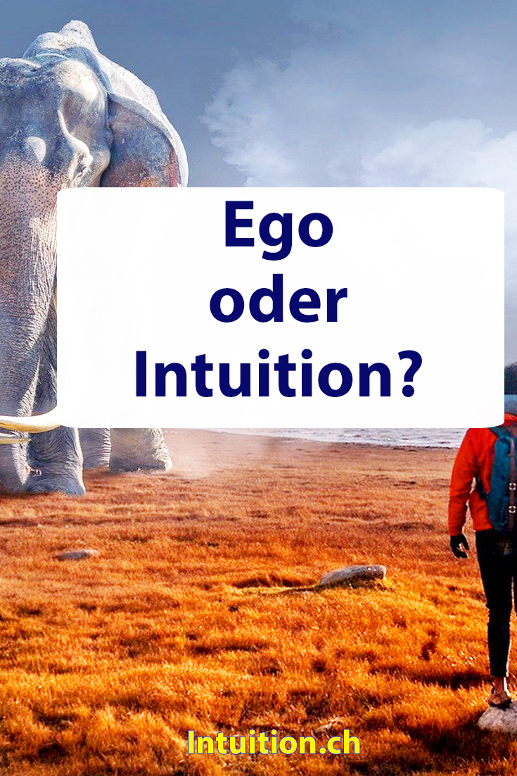 Ego oder Intuition?