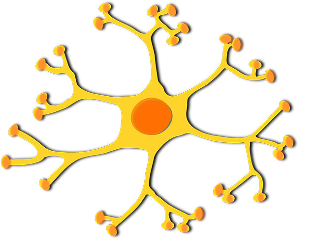 Was sind Neuronen / Pixabay