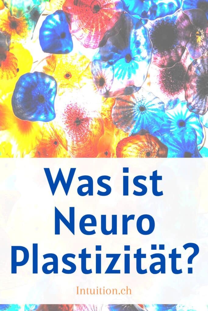 Was ist die Neuroplastizität / Pixabay