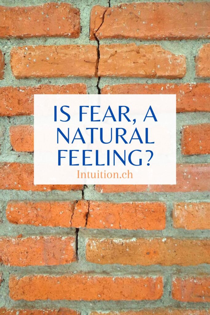 Fear, a natural feeling?