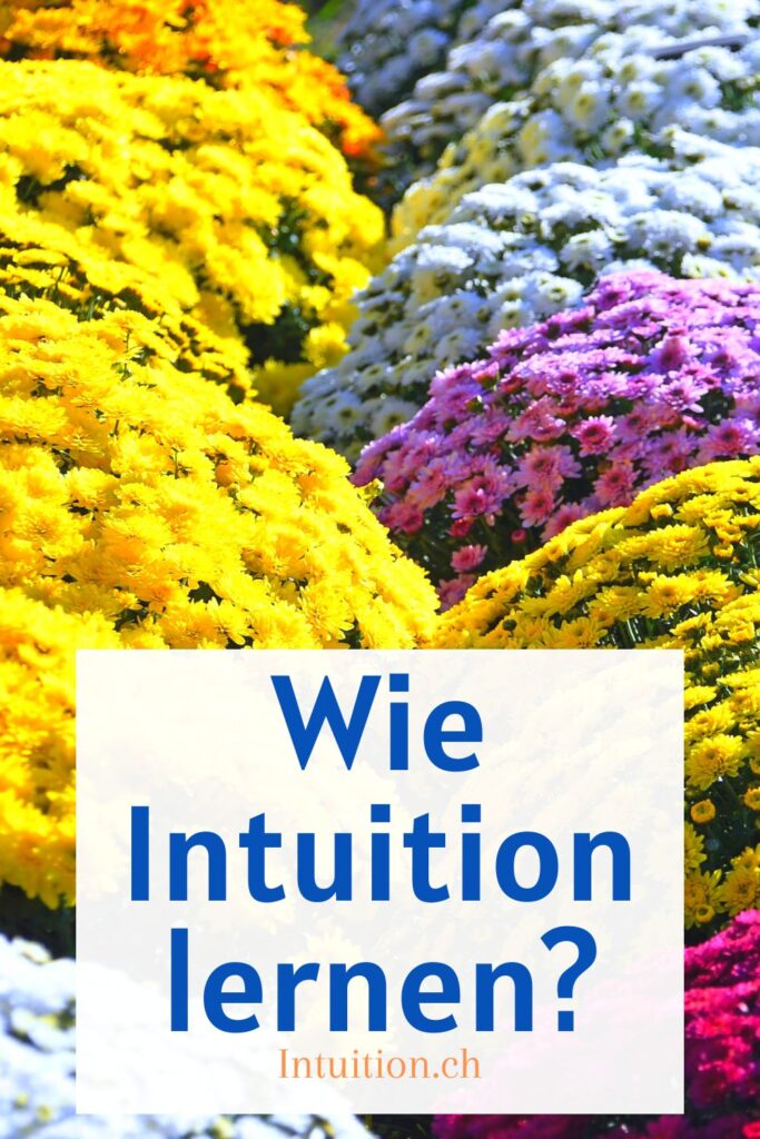 Wie Intuition lernen
