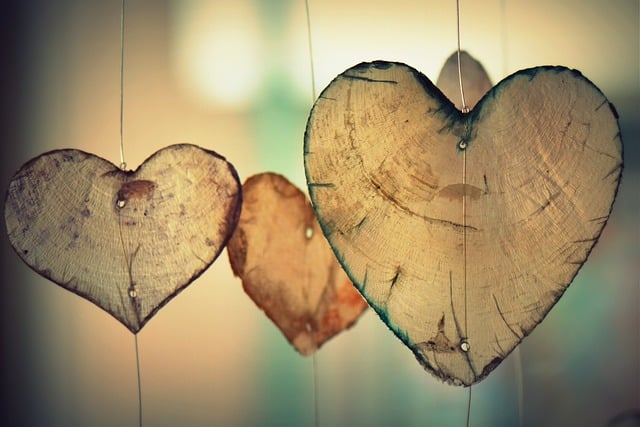Herz Chakra - Wie geht die Herzchakra Meditation / Pixabay